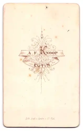 Fotografie A. F. Knoop, Eutin, Kleinkind im kurzärmeligen Kleiudchen