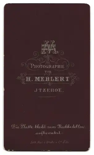 Fotografie H. Mehlert, Itzehoe, Bürgerlicher mit Vollbart und Querbinder