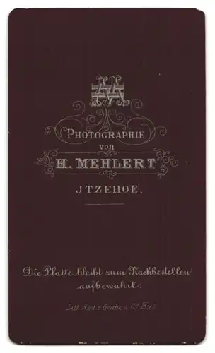 Fotografie H. Mehlert, Itzehoe, Dame mit Haarschmuck, Brosche und Spitzenkragen