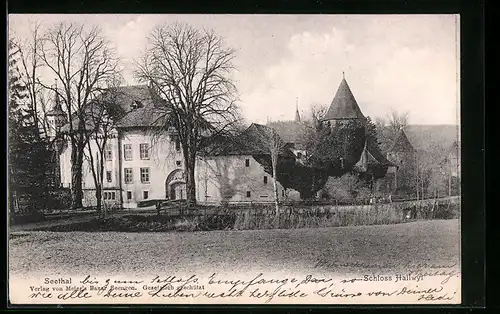 AK Hallwyl /Seethal, Blick zum Schloss Hallwyl