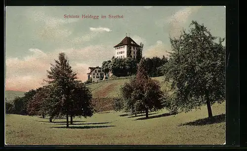 AK Gelfingen, Blick auf das Schloss Heidegg im Seethal