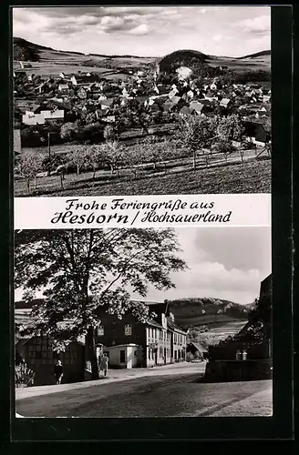 AK Hesborn /Hochsauerland, Gasthof zur Post, Ortsansicht
