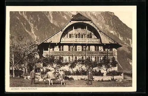 AK Aeschi, Bauernhaus vor Berghang