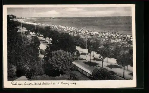 AK Ahlbeck, Blick vom Ostseestrand Ahlbeck nach Heringsdorf