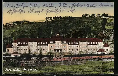 AK Pappenheim, Sanatorium mit Feldern