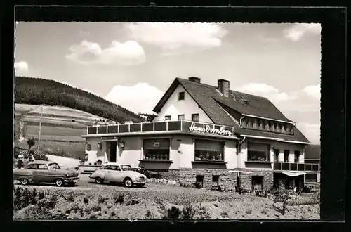 AK Willingen /Sauerl., Hotel-Pension Haus Dornberg S. u. E. Klisa, Am Trais