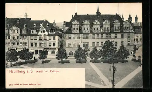 AK Naumburg / Saale, Markt mit Rathaus und Loewen-Apotheke