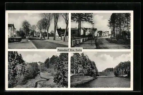 AK Pansdorf /Krs. Eutin, Wald- und Strassenpartien des Ortes