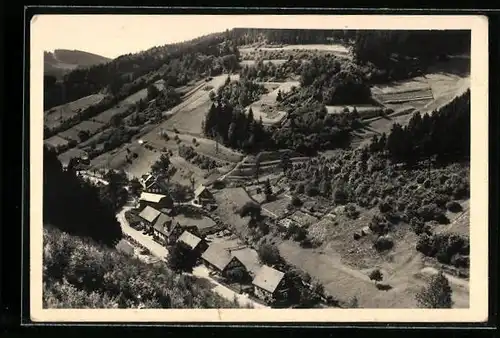 AK Tellerhammer, Ortspartie mit Strasse