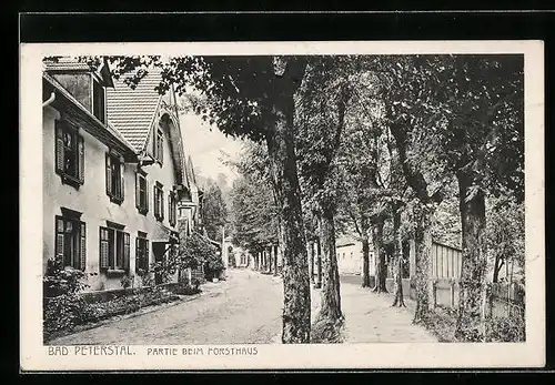 AK Bad Peterstal, Strassenpartie beim Forsthaus