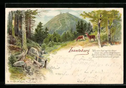 Lithographie Inselsberg, Heuberghaus, Hirsch und Reh auf einem Berg