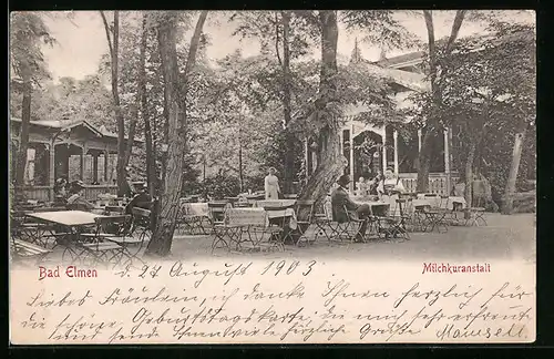 AK Bad Elmen, Cafe Milchkuranstalt mit Garten