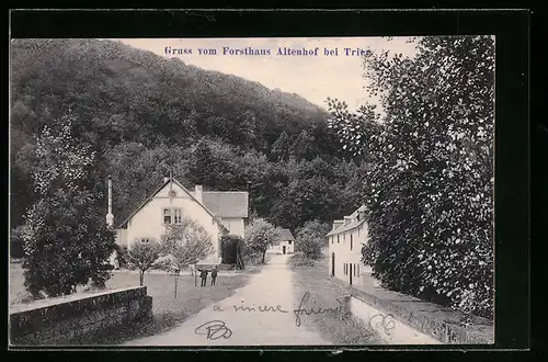 AK Trier, Forsthaus Altenhof mit Strasse, Nachbargebäude und Berghang