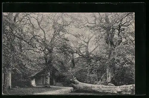 AK Neuenburg /Oldenburg, Jagdhütte im Neuenburger Urwald