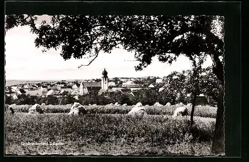 AK Grossrinderfeld /Baden, Panorama des Ortes