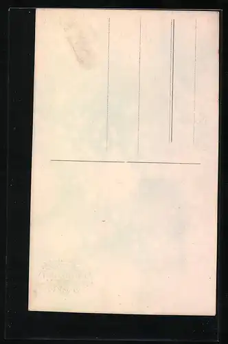 AK Sorosoto mit Akkordeon, Musiker