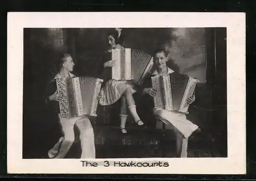 AK The three Hawkcourts, Musiker mit Akkordeons
