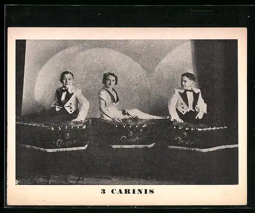 AK Trois Carinis, Musiker auf der Bühne