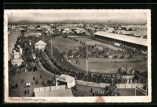 AK München, 35. Landwirtschaftliche Wander-Ausstellung 1929, Grosser Vorführungsring
