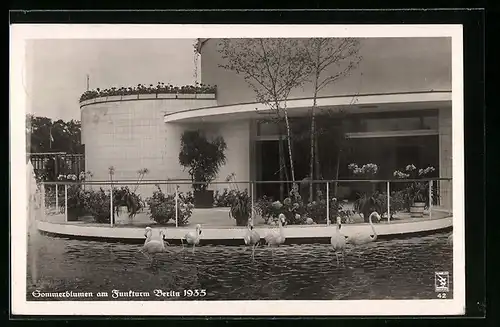 AK Berlin, Sommerblumen am Funkturm 1935