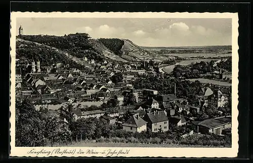 AK Freyburg /Unstrut, Gesamtansicht mit Weinbergen aus der Vogelschau