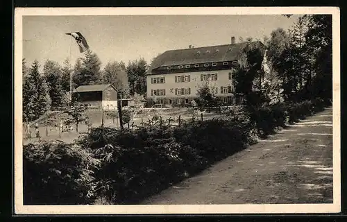 AK Neukirch /Lausitz, Jugendherberge am Valtenberg mit 