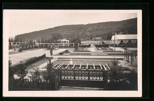 AK Winterthur, Ausstellung für Landwirtschaft, Gartenbau und Gewerbe 1924, Gartenbau