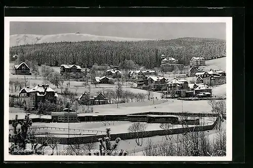 AK Brückenberg im Riesengebirge, Blick auf die Teichränder