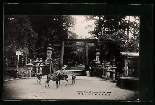 AK Nara, Second Gate of Kasuga Shrine