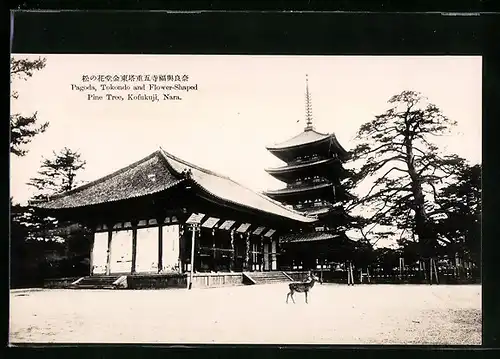 AK Nara, Pagoda, Tokondo and Flower-Shaped Pine Tree, Kofukuji