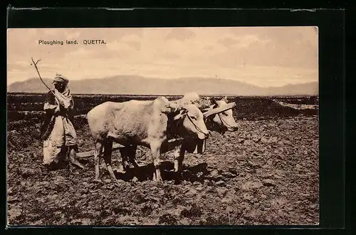 AK Quetta, Ploughing land