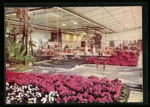 AK Erfurt, 1. Internationale Gartenbauausstellung der sozialistischen Länder 1961, Halle XIII, Blumen- & Zierpflanzenbau