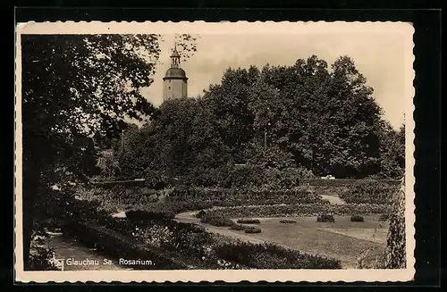 AK Glauchau /Sa., Partie im Rosarium