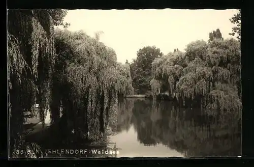 AK Berlin-Zehlendorf, Partie am Waldsee