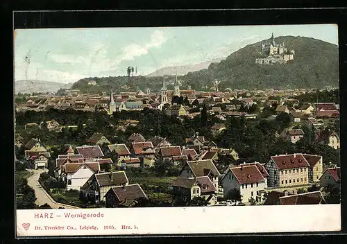 AK Wernigerode /Harz, Ortsansicht mit Blick auf das Schloss