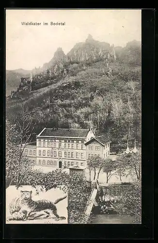 AK Thale, Hotel Waldkater im Bodetal