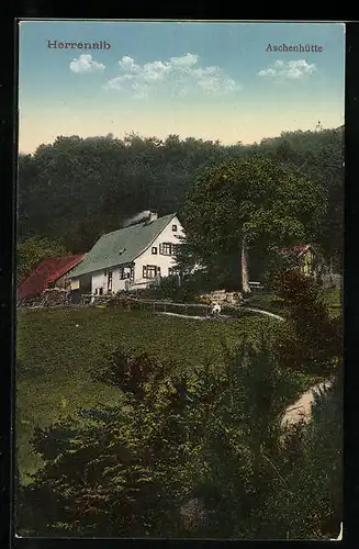 AK Herrenalb, Aschenhütte mit Umgebung