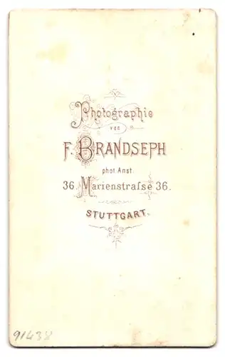 Fotografie F. Brandseph, Stuttgart, Marienstr. 36, Junge Dame mit Flechtfrisur und Medaillon