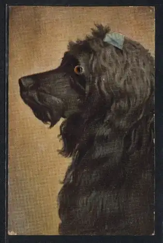 Künstler-AK Portrait eines langhaarigen schwarzen Hundes