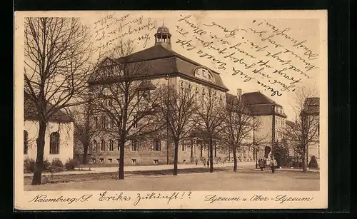 AK Naumburg /S., Lyzeum u. Ober-Lyzeum