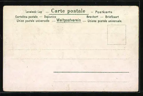 Lithographie Aachen, Lousberg, Paar beim Spaziergang