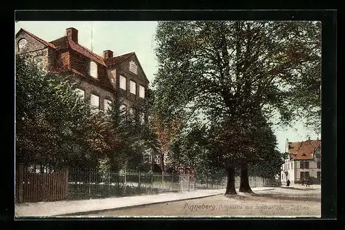 AK Pinneberg, Dingstätte mit landrätlichem Schloss