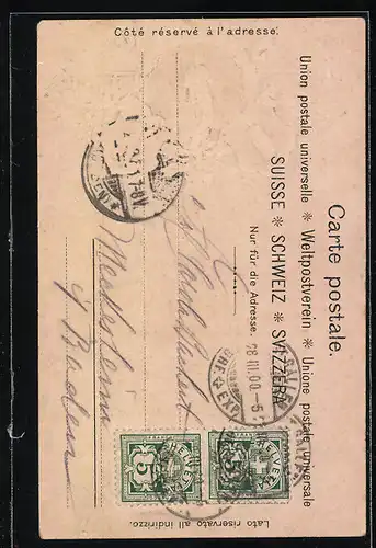 Präge-Lithographie St. Gallen, Ortsansicht mit Säntis, Wappen