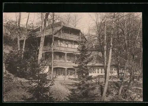 AK Heidelberg, Wolfsbrunnenrestaurant mit Bäumen