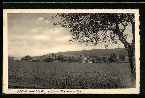 AK Dötzum /Krs. Gronau, Ortsansicht aus der Ferne