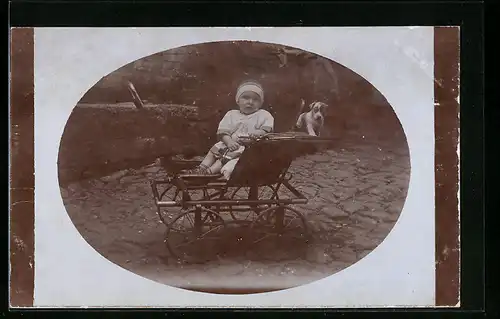 Foto-AK Kleinkind im Kinderwagen mit Hund im Grünen