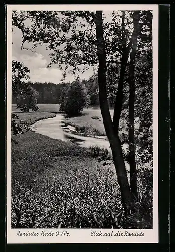 AK Rominten, Rominter Heide, Blick auf die Rominte