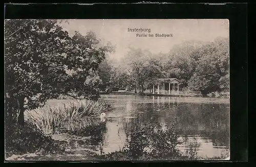 AK Insterburg, Partie im Stadtpark