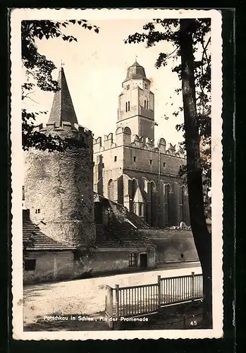 AK Patschkau in Schles., An der Promenade