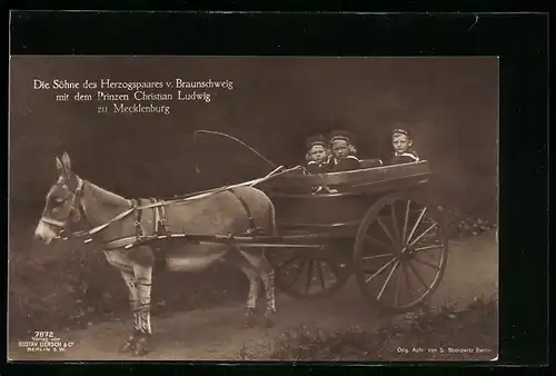 AK Dei Söhne des Herzogspaares v. Braunschweig, mit dem Prinzen Christian Ludwig zu Mecklenburg